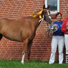 DSP Birkelunds Charina GRSDH 574 .:SOLGT:.