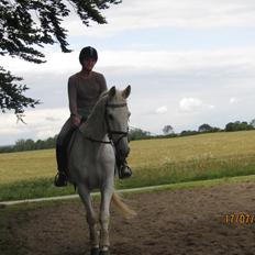 Anden særlig race King [Min part]