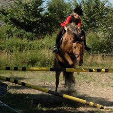 Anden særlig race Balder *Altid Elsket*