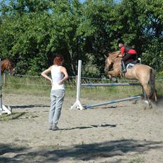 Anden særlig race Balder *Altid Elsket*