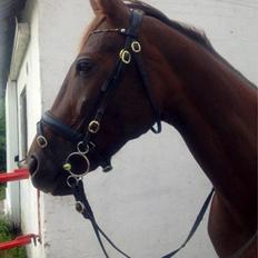 Traver Rabiega Rouge *Savnet*