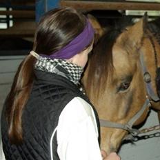 Anden særlig race Topper Too