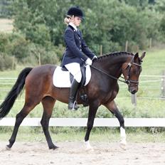 DSP | Vasehøjs Kasira |