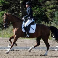 Anden særlig race Big Brother