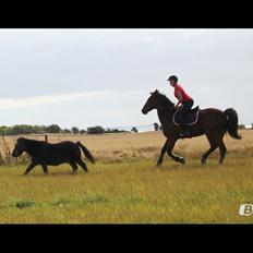 Traver Nordhusets Triton Flir <3 #Soulmate#