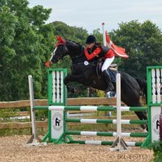 Dansk Varmblod Maro Z