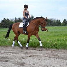 Traver Lemon Ribe