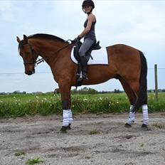 Traver Lemon Ribe