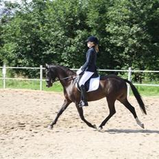 DSP Bøgely`s Celine