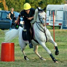 Anden særlig race Fantazy