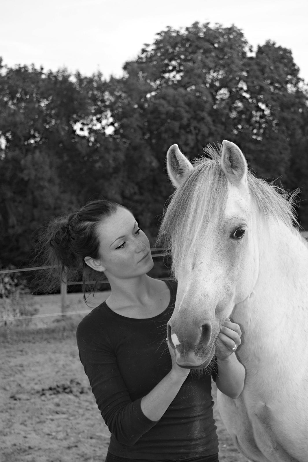 Welsh Pony (sec B) Bjerregårds Santos - hvad ville jeg have gjort hvis du aldrig havde været en del af mit liv. billede 17
