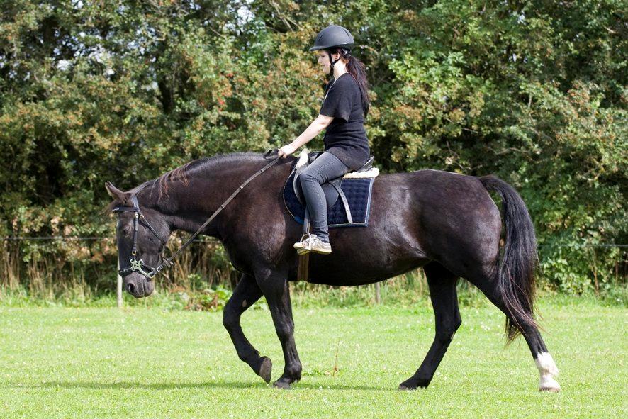 Oldenborg Sweety - Første gang på ryggen af den smukke! Foto: L.Moltzen billede 2