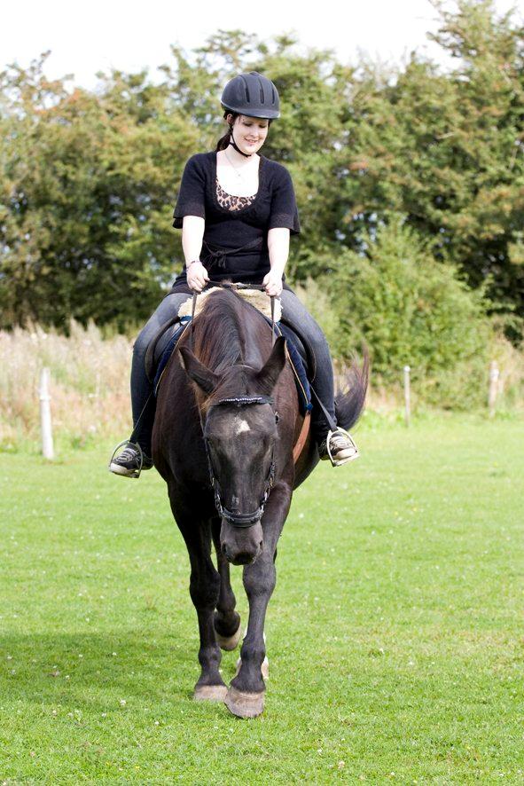 Oldenborg Sweety - Sweety fik øje på "mor Louise" :) Foto: L.Moltzen billede 3