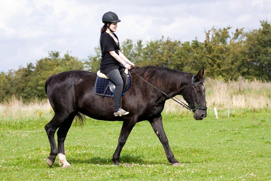 Oldenborg Sweety - Mig og Sweety. Foto: L.Moltzen billede 6
