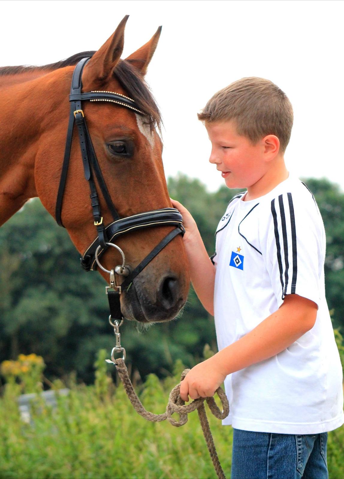 Hollandsk Varmblod Beauty LA Elsmös - De så søde :O)) billede 17
