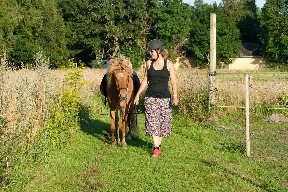 Islænder Audna **PRINSESSEN** - Så skal vi på endnu en dejlig tur ud i det fri <3
 billede 19