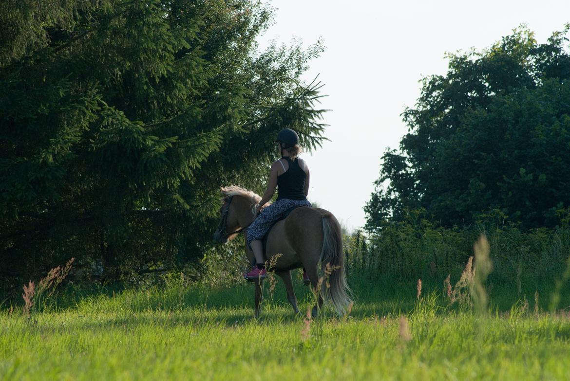 Islænder Audna **PRINSESSEN** - <3 holder bare sååå meget af dig prinsesse <3 billede 20