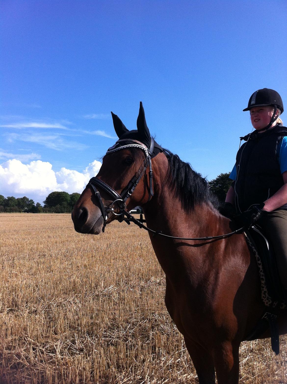 DSP Shamrocks Massa E Cozzile billede 4