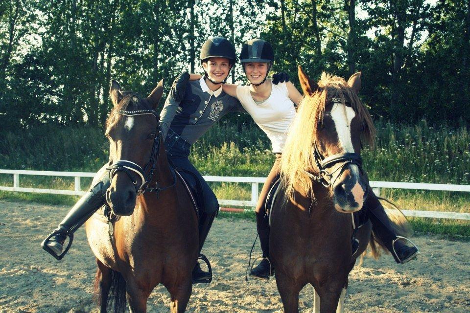 Welsh Partbred (Sec F) GROEZE'S JOSINA - BHFFTTWE :-D <3 billede 20