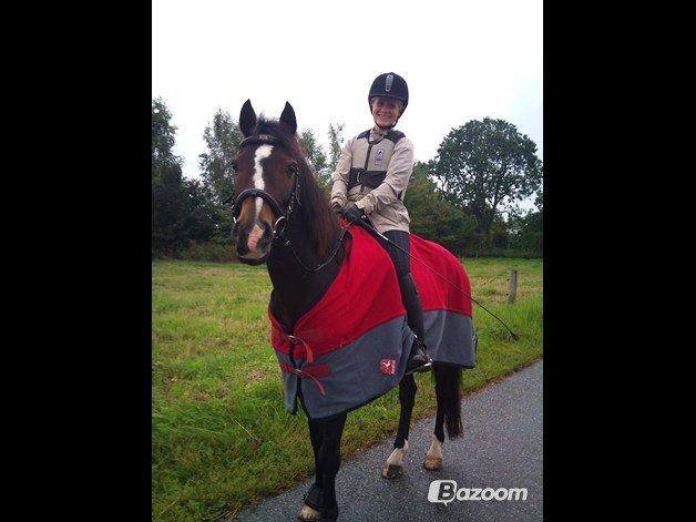 Anden særlig race Pluto - 28/8-12 På vej hen til Stengaard og få undervisning :)<3 billede 9