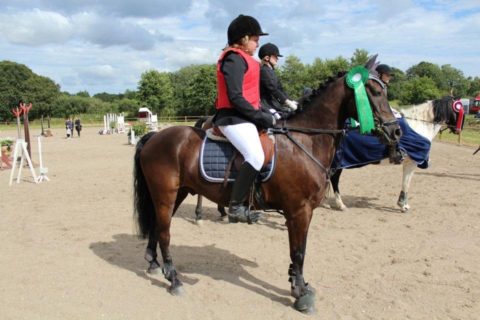 Anden særlig race Grankærs Fandango <3<3<3 - fik en fjer plas i horsworld cup finale billede 9