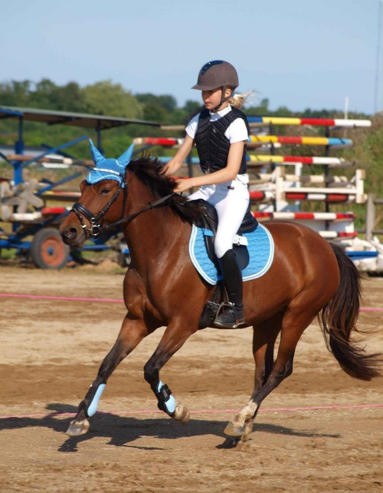 Anden særlig race Quick Brown Lady Z billede 20