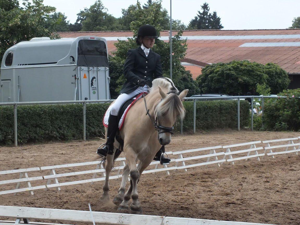 Fjordhest Lucas Kaptain(SOLGT) - EM 2012i Tyskland!! Kæmpe oplevelse!!<3 billede 15