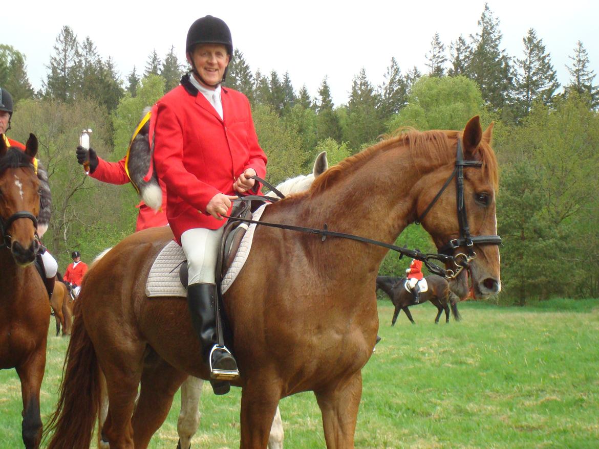 Dansk Varmblod Cést la vie billede 8