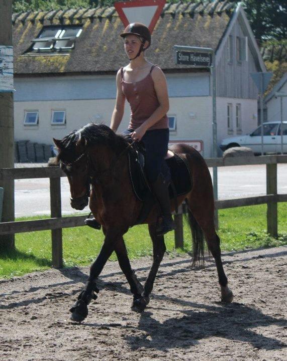 DSP Mirain Charming - Smukkeste Charming <3 billede 1