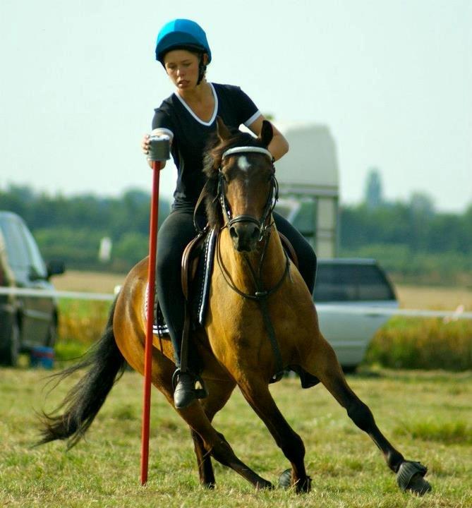 DSP Mirain Charming - DM individuel 2012 billede 9