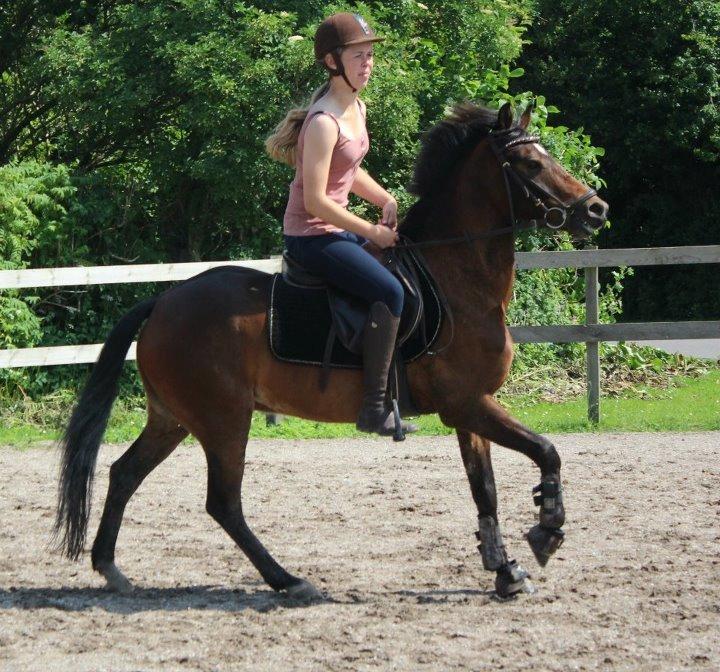 DSP Mirain Charming billede 10