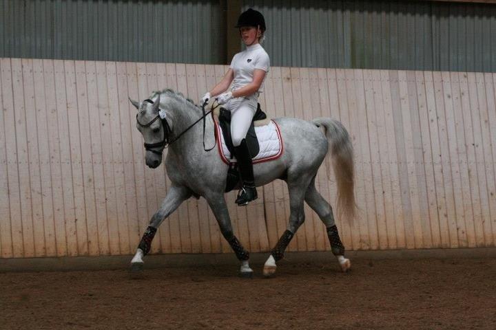 DSP Toftegaard's Hurricane SPH 182 <3 *A-Pony* billede 15