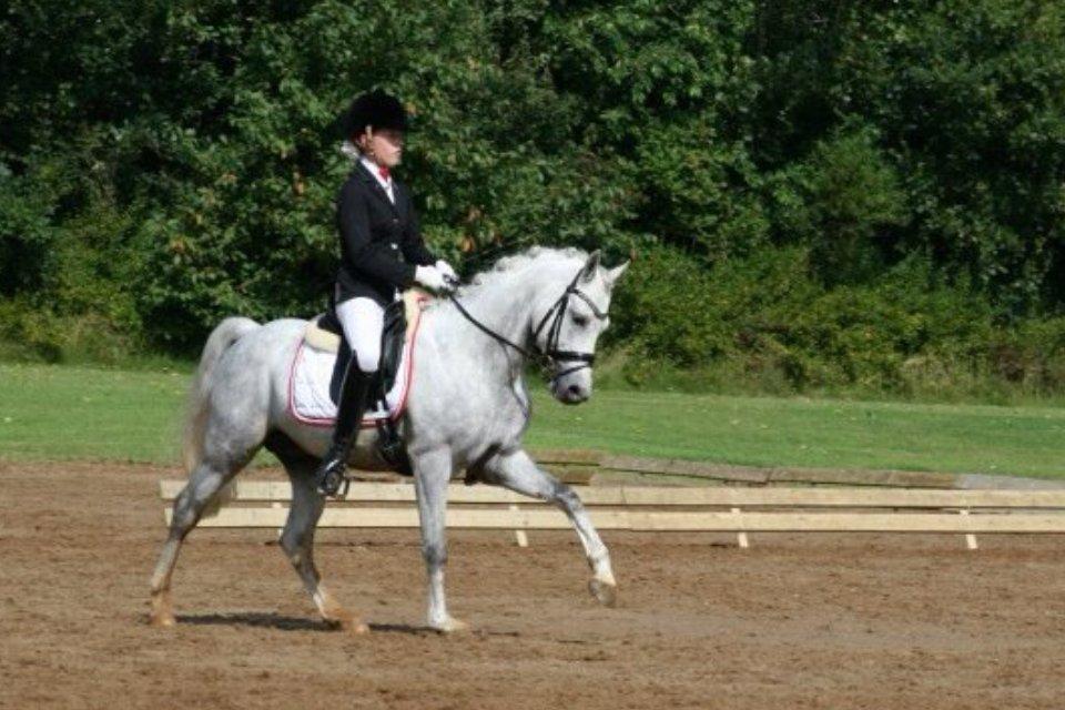 DSP Toftegaard's Hurricane SPH 182 <3 *A-Pony* - LA1 til 72,8% :D Med en masse fejl! Hurricane du er fantastisk!! <3 billede 7