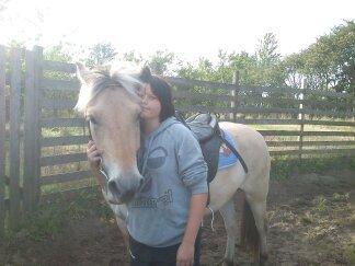 Fjordhest Bisnapgård´s Sjamør billede 8