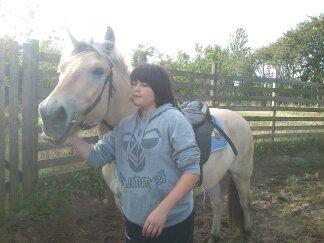 Fjordhest Bisnapgård´s Sjamør billede 10