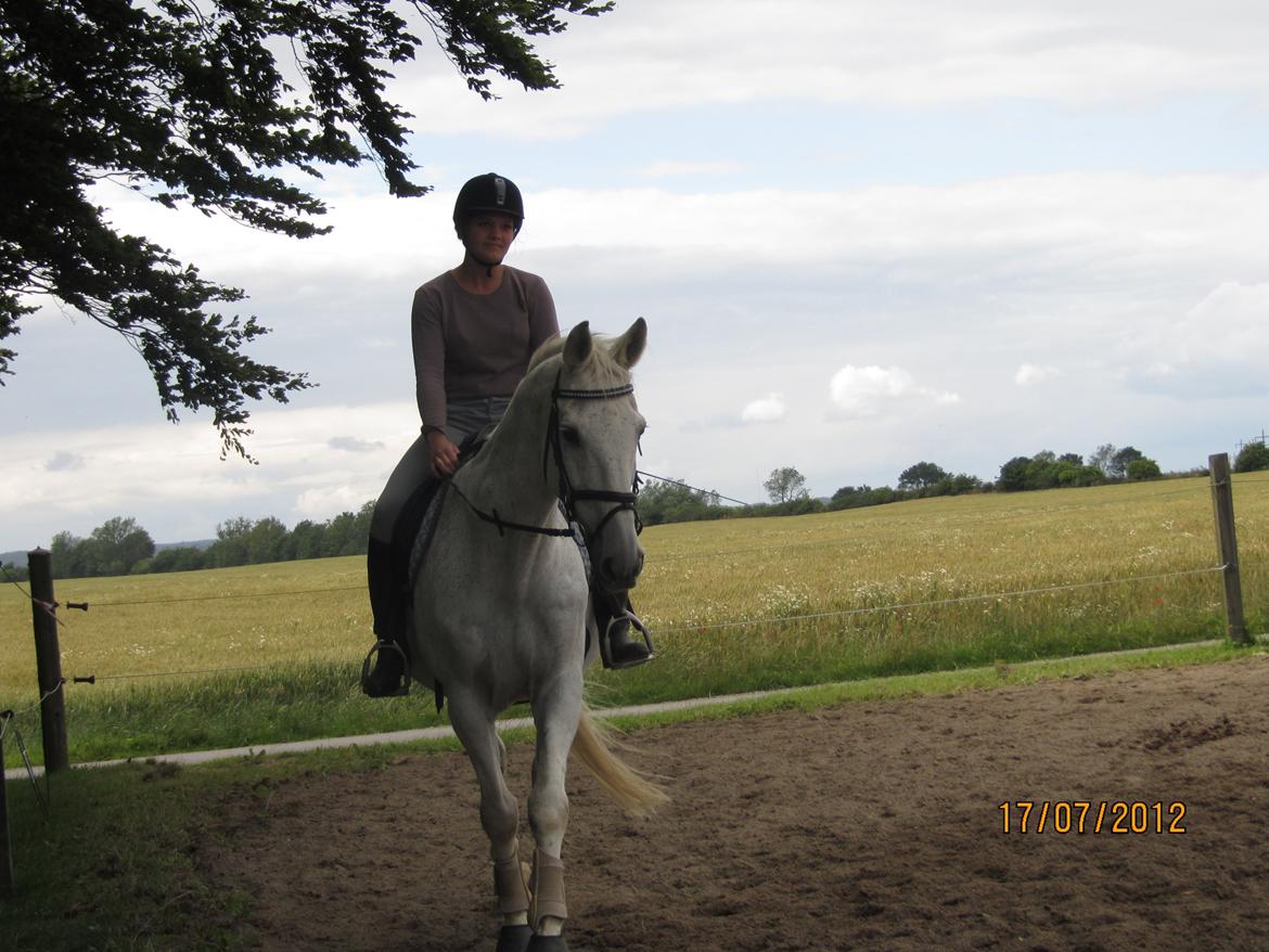 Anden særlig race King [Min part] billede 2