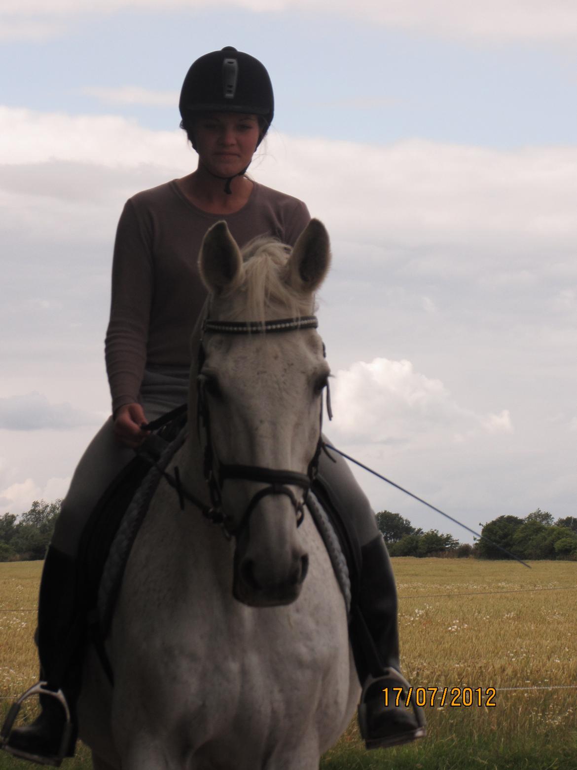 Anden særlig race King [Min part] billede 3