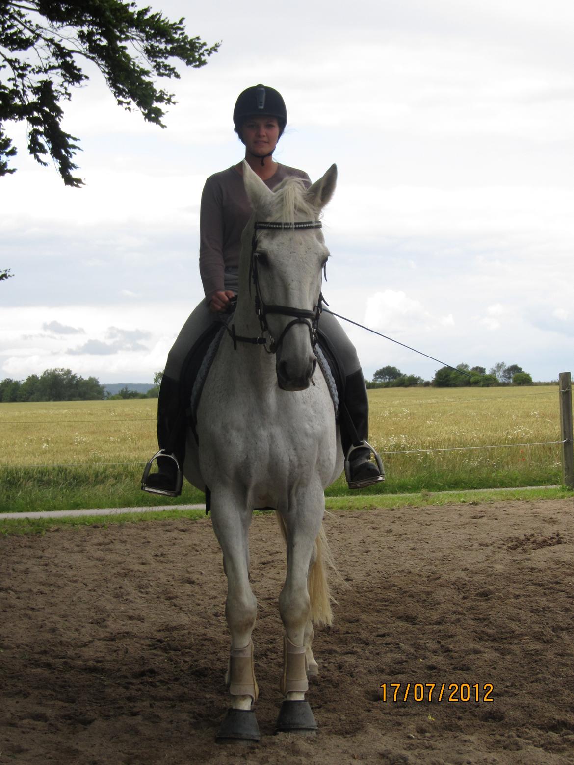 Anden særlig race King [Min part] billede 4