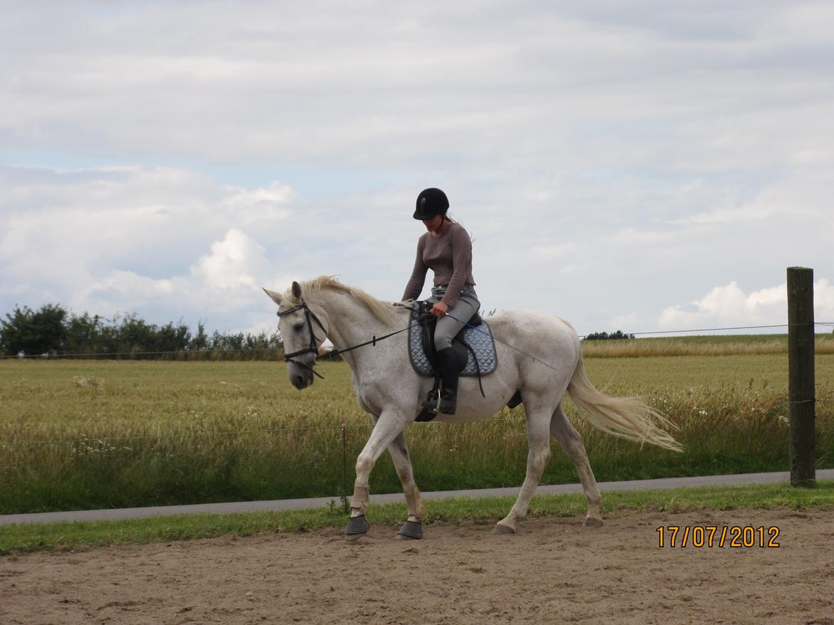 Anden særlig race King [Min part] billede 5