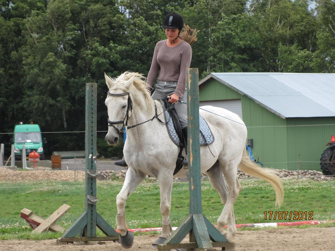 Anden særlig race King [Min part] billede 9