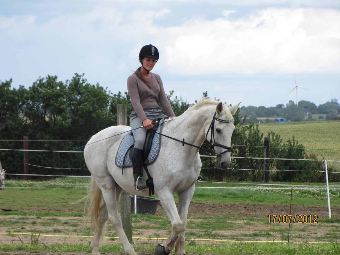 Anden særlig race King [Min part] billede 10