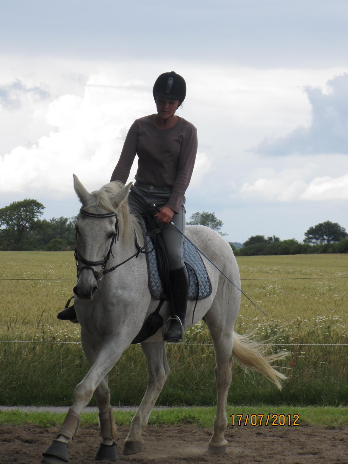 Anden særlig race King [Min part] billede 13