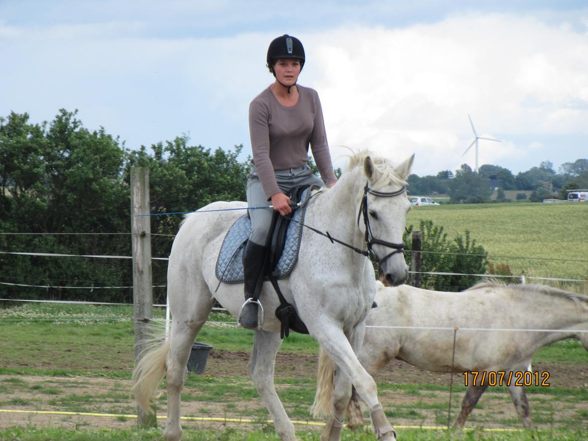 Anden særlig race King [Min part] billede 14