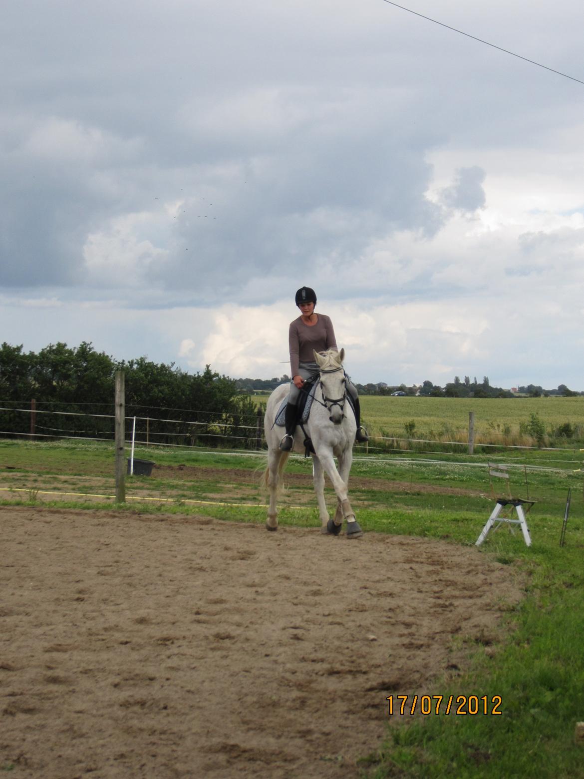 Anden særlig race King [Min part] billede 15