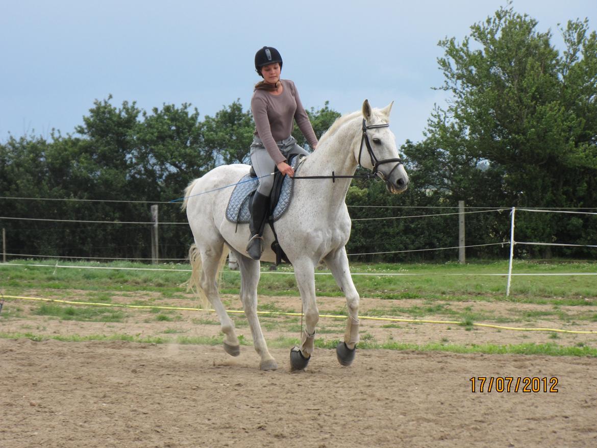 Anden særlig race King [Min part] billede 17