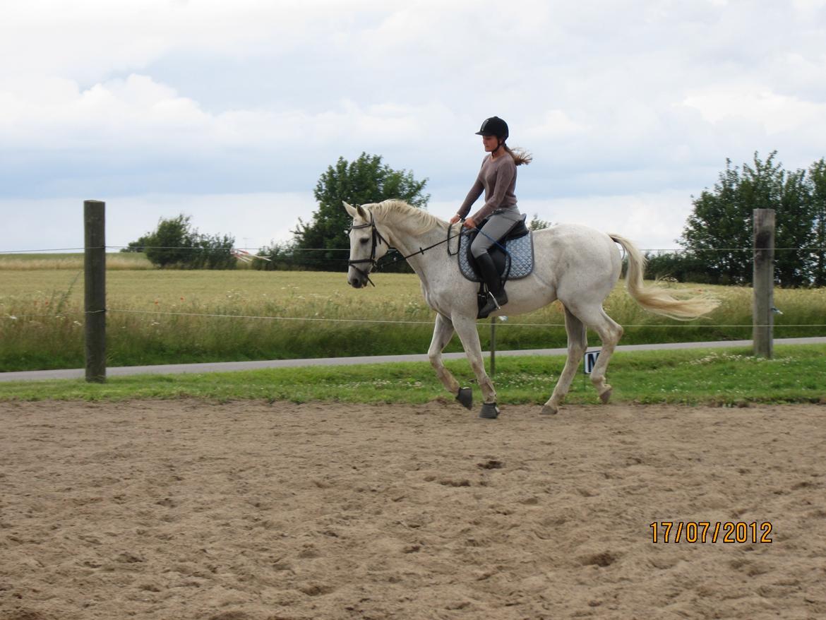 Anden særlig race King [Min part] billede 18