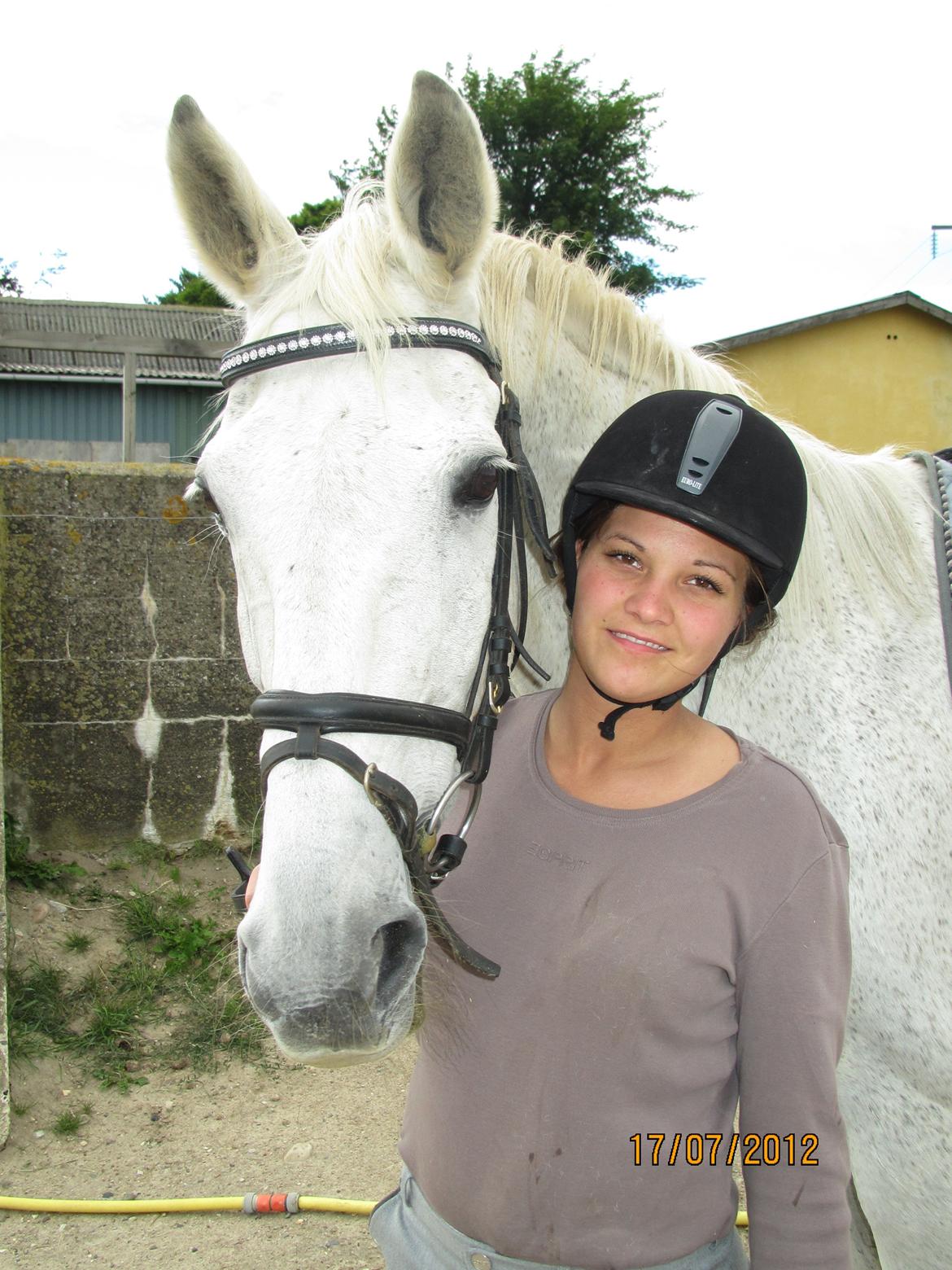 Anden særlig race King [Min part] billede 20