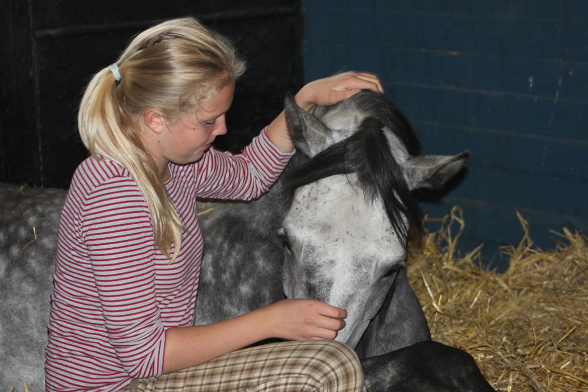 Anden særlig race Matcho - Jeg elsker dig mere end noget andet! 
Tak fordi du så med, smid gerne en kommentar eller bedømmelse :) billede 18