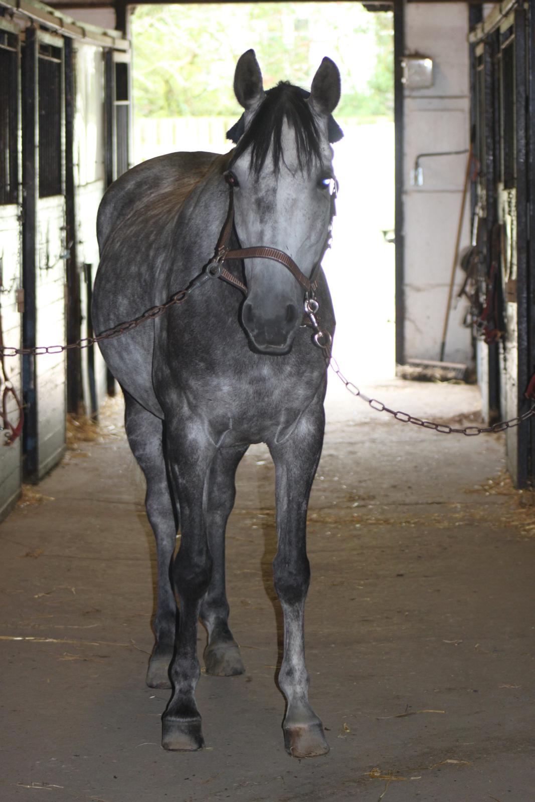 Anden særlig race Matcho - Velkommen til Matchos profil :)  billede 1