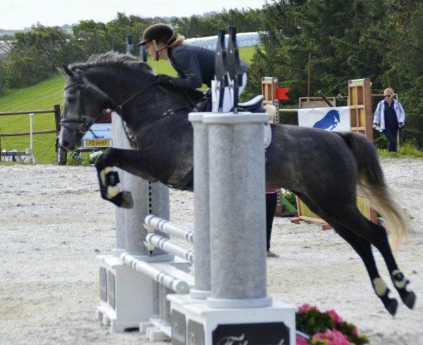 Dansk Varmblod Cayenne - Cayenne og Louise (tidl. ejer) til stævne billede 10